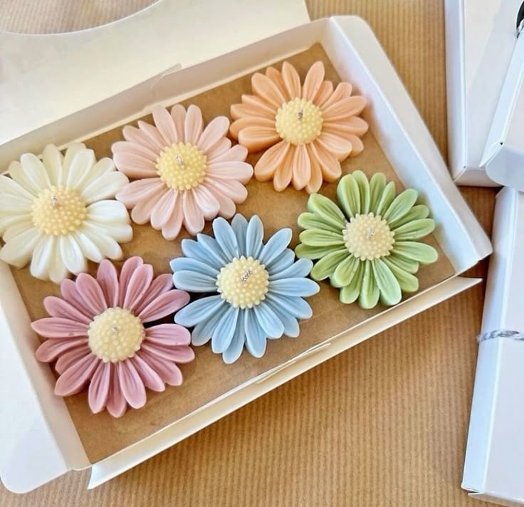 Zainab Essentials Product